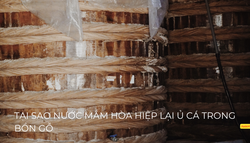 SIZE ĐĂNG ẢNH WEB (16)